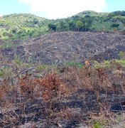 IMA alerta população sobre riscos de queimadas durante período seco e de baixa umidade em AL