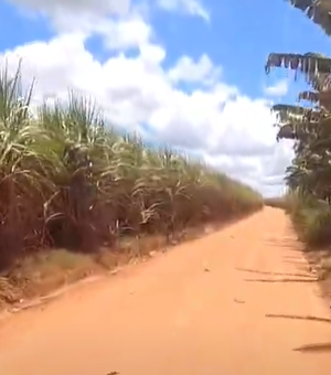 Homem é preso por tráfico de drogas e posse ilegal de arma de fogo na zona rural de Limoeiro de Anadia