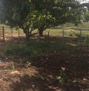 Arapiraca: Defensoria pede suspensão de cobrança indevida de IPTU para propriedade rural
