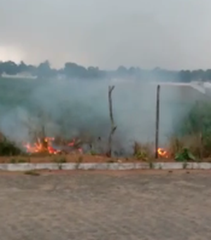 [Vídeo] Queda de fios de rede elétrica provoca incêndio em vegetação perto de residencial em Arapiraca