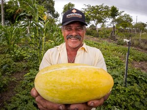 Acesso ao Cadastro Ambiental Rural será feito pelo Gov.br a partir de quinta-feira (19)