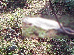 Cadáveres são encontrados no Agreste alagoano