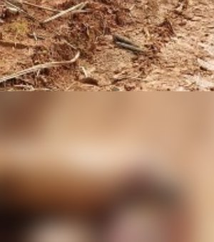 Corpo com marcas de tiros é encontrado em canavial no Norte de Alagoas
