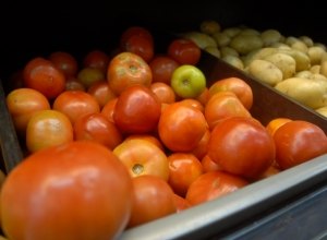 Tomate ecológico é destaque entre projetos da Embrapa Solos