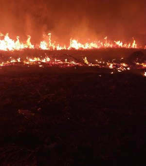 Incêndio de grandes proporções atinge área perto de resort em Maragogi