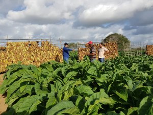 Agricultores girauenses são beneficiados com programa de preparo do solo