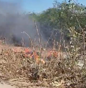 [Vídeo] Fumaça e fogo em vegetação chamam a atenção de moradores em Arapiraca