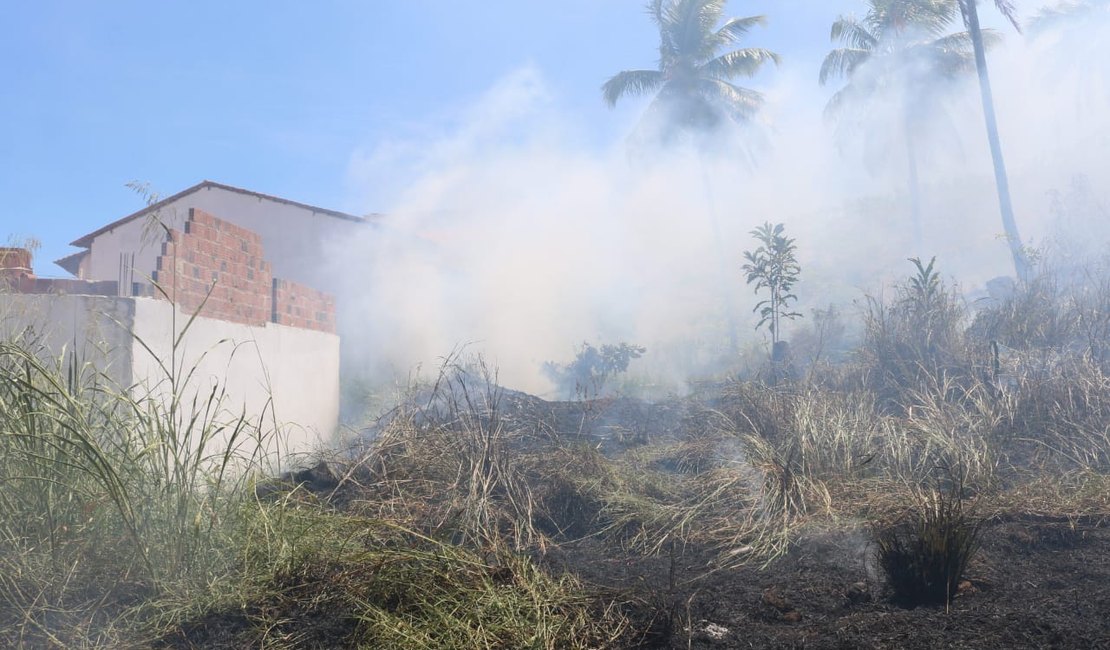 Vegetação incendeia e fogo chega perto de casas em Maragogi