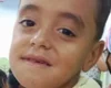 Menino de 7 anos morre após levar coice de cavalo em Batalha