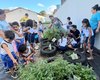 Agroecologia avança em Arapiraca com projeto Adote uma Horta