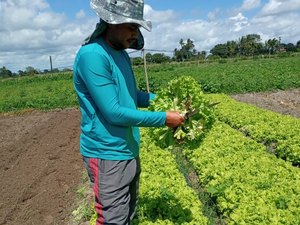 Emater já distribuiu 2,7 mil toneladas de alimentos no Agreste por meio do PAA