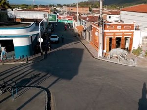 Longe da ideologia, oposição se articula para 2028, em Maravilha