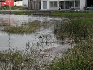 [Vídeo] População apela por providências contra mortandade de peixes em lagoa poluída de Tapera