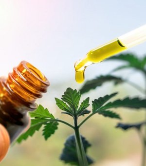 Anvisa aprova comercialização de Extrato de Cannabis