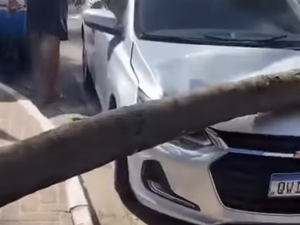 [Vídeo] Coqueiro despenca em carro estacionado na praia de Ponta Verde em Maceió