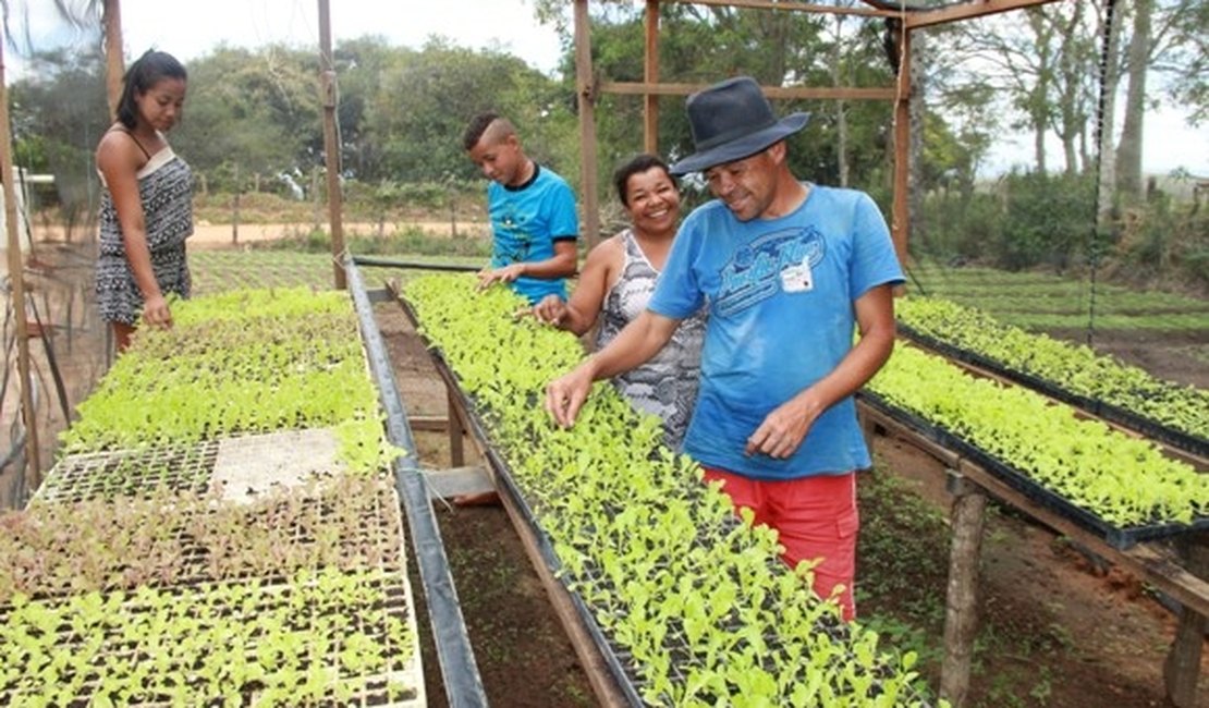 Povoado de Palmeira dos Índios aumenta produção após programa Água para Todos