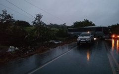 Ônibus sai da pista e colide contra árvore na AL-110 em Arapiraca