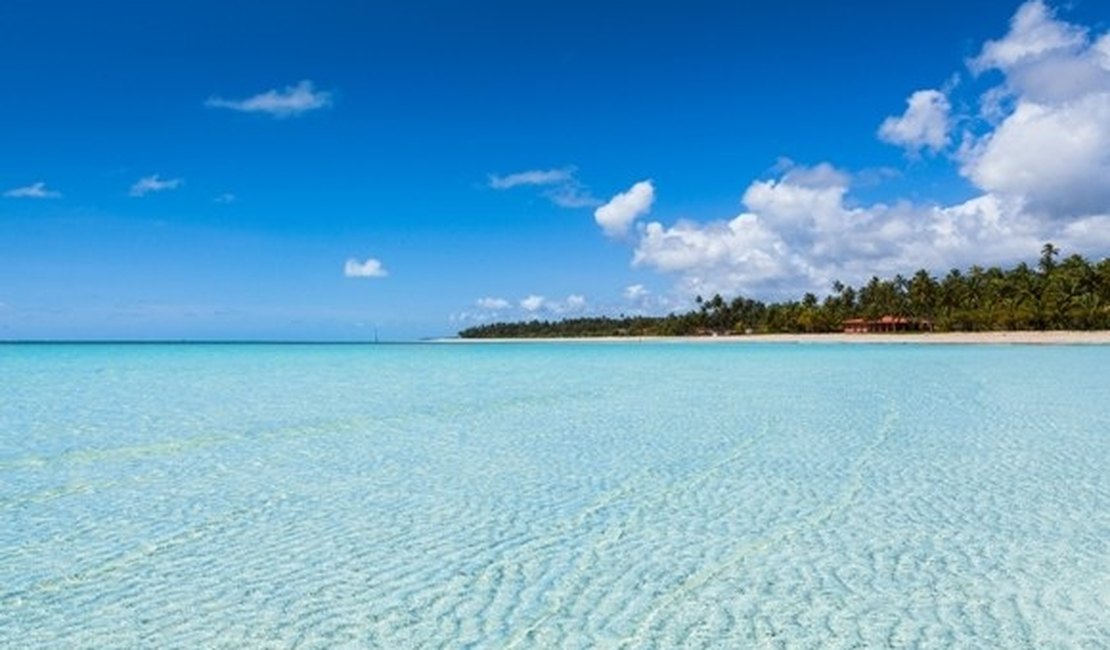 Praia de Maragogi está entre as dez melhores do Brasil