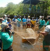 ICMBio Costa dos Corais retorna às atividades de manejo dos peixes-bois