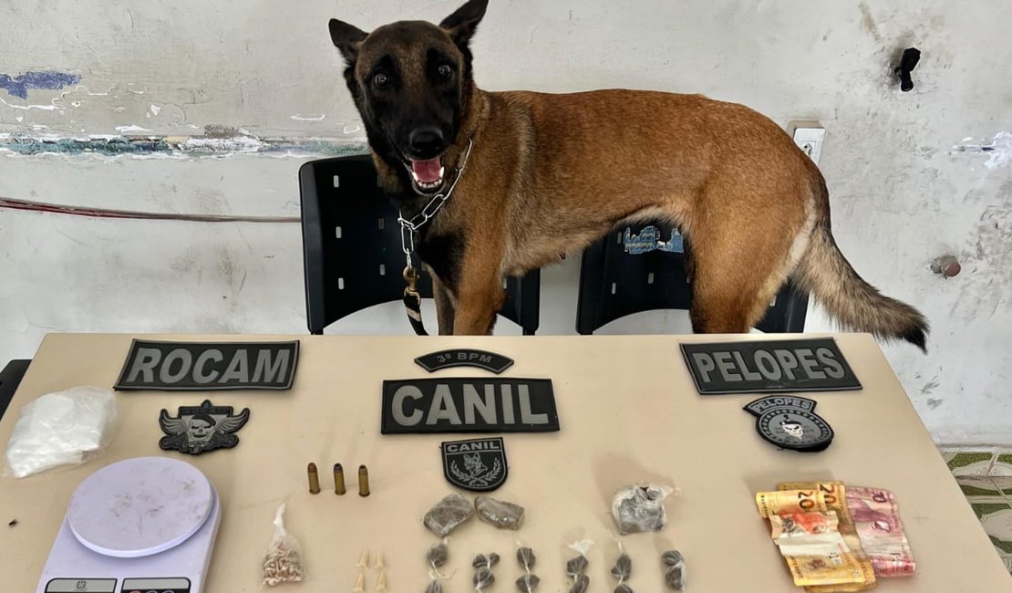 Com auxílio de cão farejador, PM prende homem em ponto de drogas em Arapiraca