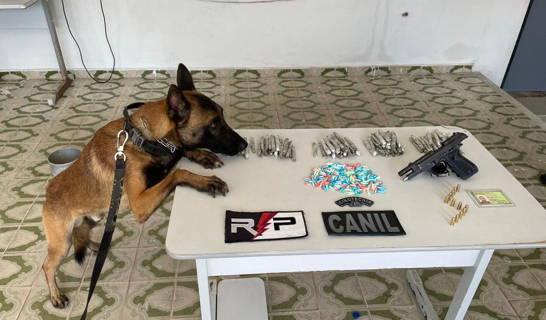 Equipe Canil do 3º BPM apreende droga em lava jato em Arapiraca