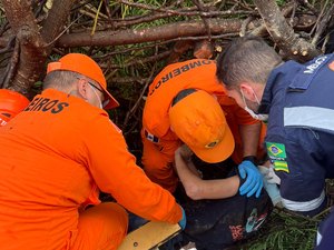 Árvore cai, atinge adolescente e provoca interdição de área em Delmiro Gouveia