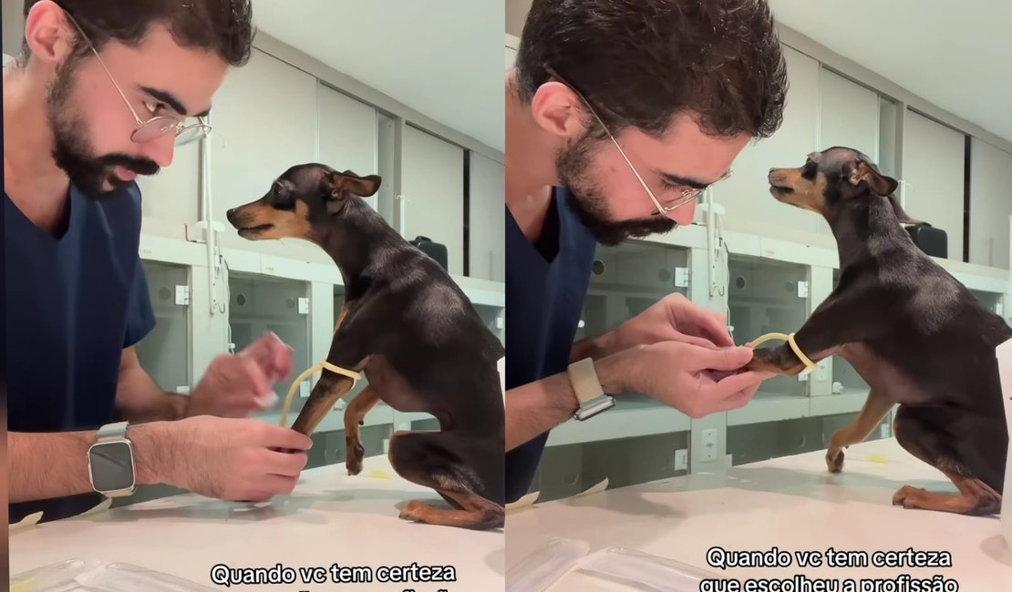 [Vídeo] Veterinário viraliza ao cuidar de Pinscher e mostra que o amor é o melhor remédio