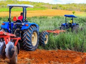 Terra pronta avança para 7 mil tarefas e já beneficia mais de 900 agricultores familiares em Arapiraca