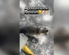 Policial militar brinca ao mostrar “fraqueza” durante patrulha