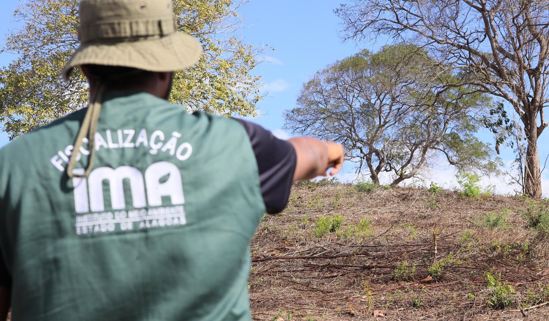 FPI do Rio São Francisco embarga áreas desmatadas equivalentes a 419 campos de futebol