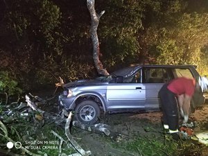 [Vídeo] Carro colide em árvore caída e deixa quatro feridos na BR-104