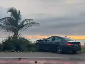 Motorista perde controle de BMW e derruba coqueiro na orla de Jatiúca, em Maceió