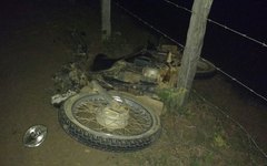 Motociclista colide com jumento na AL-115 e animal morre na hora