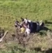 Carro cai em ribanceira após motorista perder o controle na AL-210, em Rio Largo