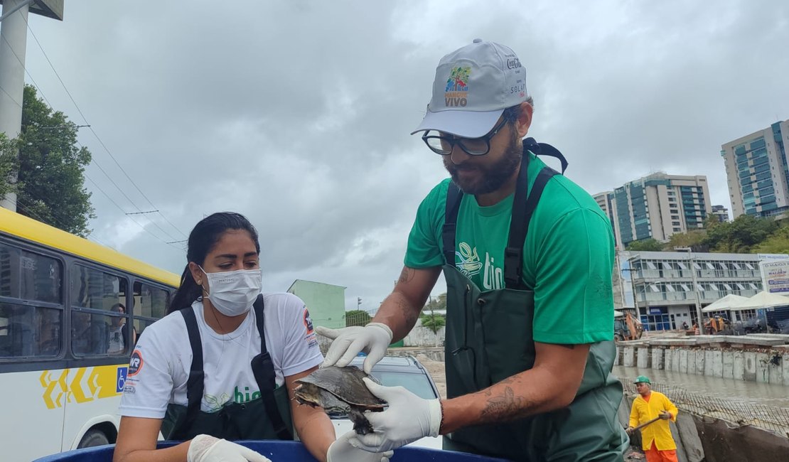 OAB, MPE e Instituto Biota realizam força-tarefa para resgatar cágados do Riacho Salgadinho