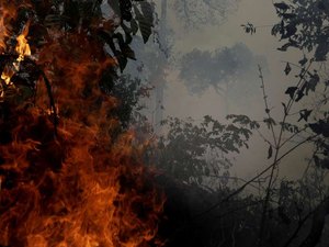 Após proibição de queimadas, Amazônia segue pegando fogo