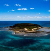 Fragmentos de óleo são encontrados em ilha do arquipélago de Abrolhos