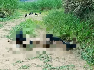 Polícia investiga morte de adolescente encontrado em estrada vicinal em Matriz de Camaragibe