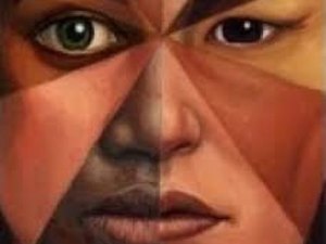 Comissão de Minorias leva denúncia de injúria racial para o MPE