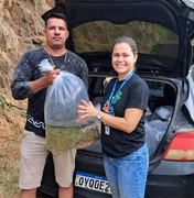 Reestruturação do Programa de Distribuição de Alevinos vai ampliar atendimento aos municípios