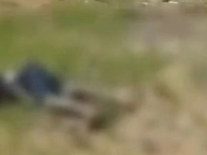 Homem é encontrado morto com marcas de tiros em Paripueira