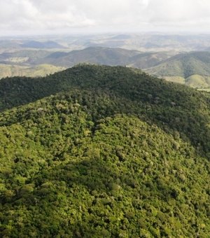 Justiça suspende decreto que transferia concessão de florestas para o Ministério da Agricultura
