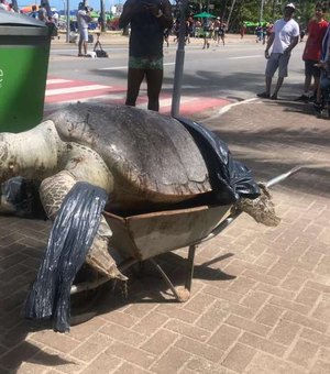 Tartaruga gigante é encontrada morta em orla da Ponta Verde