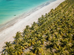 Rota Ecológica recebe Corrida 21k Costa dos Milagres em setembro