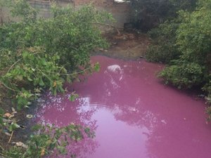 IMA conclui laudo e afirma que houve despejo de tinta em rio no Litoral Norte