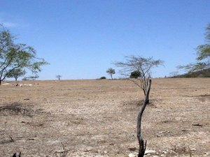 Relatório aponta Alagoas como o estado mais afetado pela desertificação no Brasil