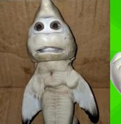Tubarão com cara 'humana' é comparado com o Zé Gotinha; veja os memes