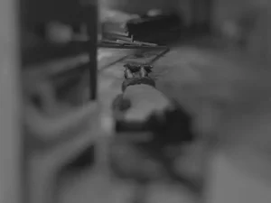 ﻿﻿Morte de casal no Sertão: homem teria matado mulher e tirado a própria vida, diz polícia