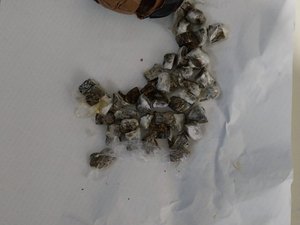 Mulher é presa tentando entrar em presídio com drogas no ânus