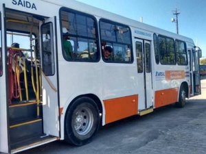 Mudanças em linhas de ônibus intermunicipais começam neste domingo; confira